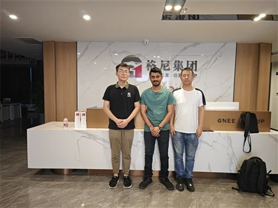 GNEE با یک مشتری تانزانیایی شریک شده است